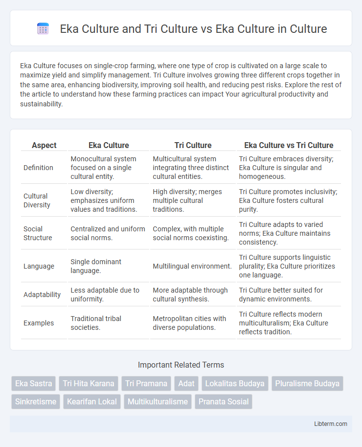 Eka Culture vs Eka Culture and Tri Culture in Culture - What is The Difference?