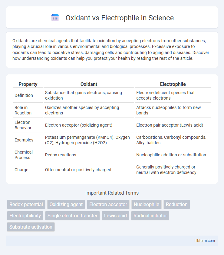 Electrophile vs Oxidant in Science - What is The Difference?