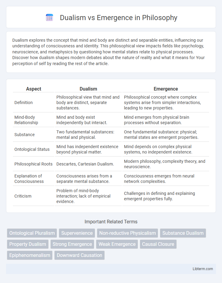 Emergence vs Dualism in Philosophy - What is The Difference?