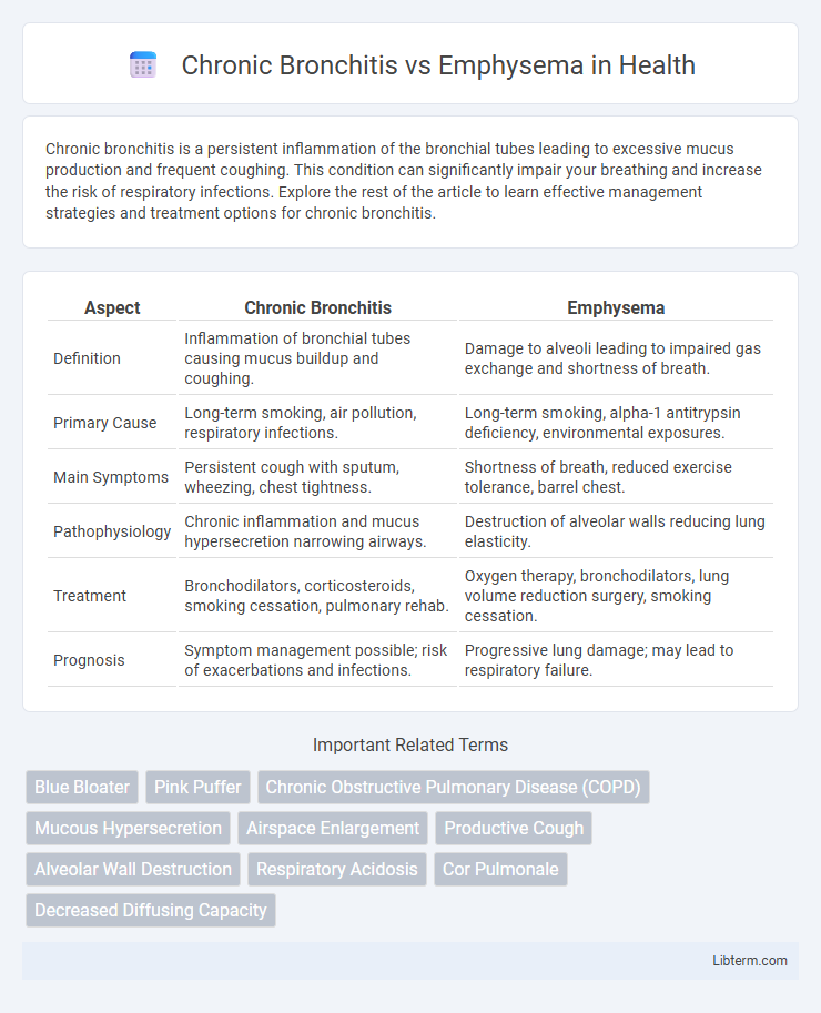 Emphysema vs Chronic Bronchitis in Health - What is The Difference?