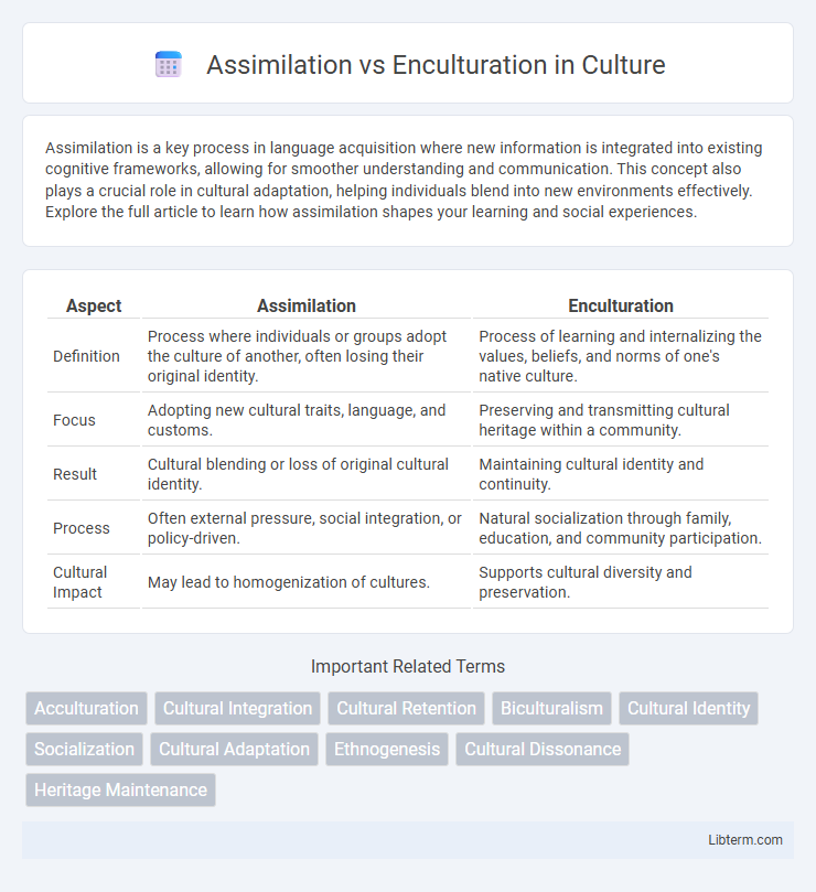 Enculturation vs Assimilation in Culture - What is The Difference?