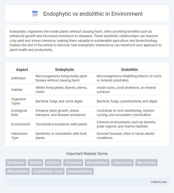 endolithic vs Endophytic in Environment - What is The Difference?