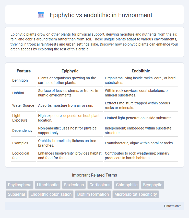 endolithic vs Epiphytic in Environment - What is The Difference?