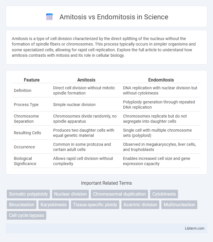 Endomitosis vs Amitosis in Science - What is The Difference?