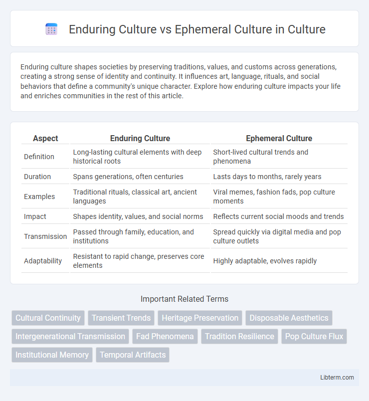 Ephemeral Culture vs Enduring Culture in Culture - What is The Difference?