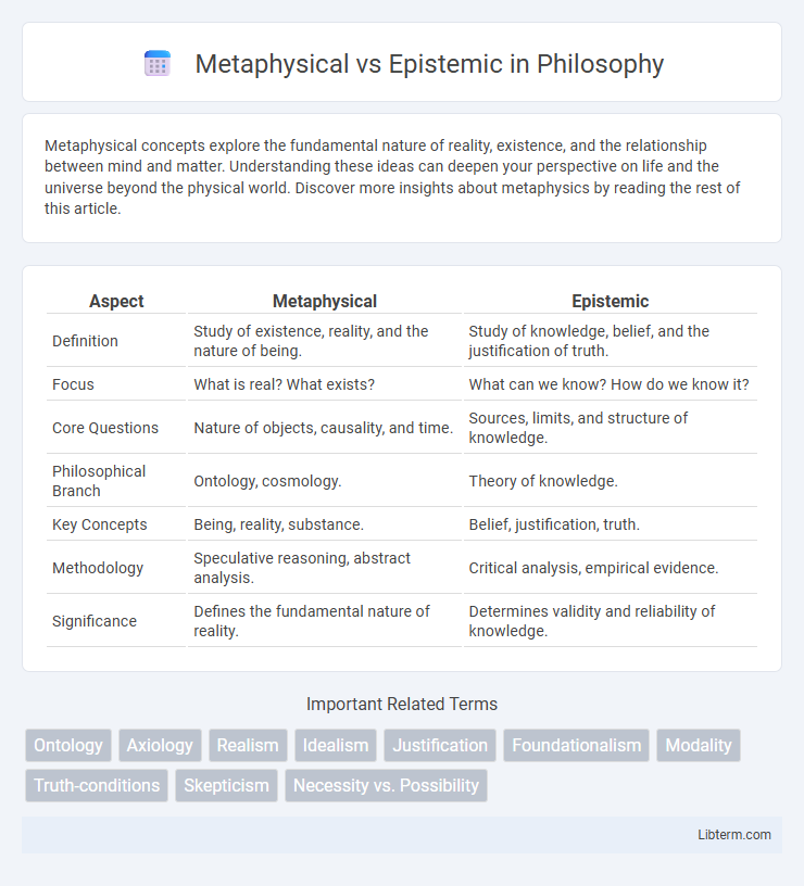 Epistemic vs Metaphysical in Philosophy - What is The Difference?