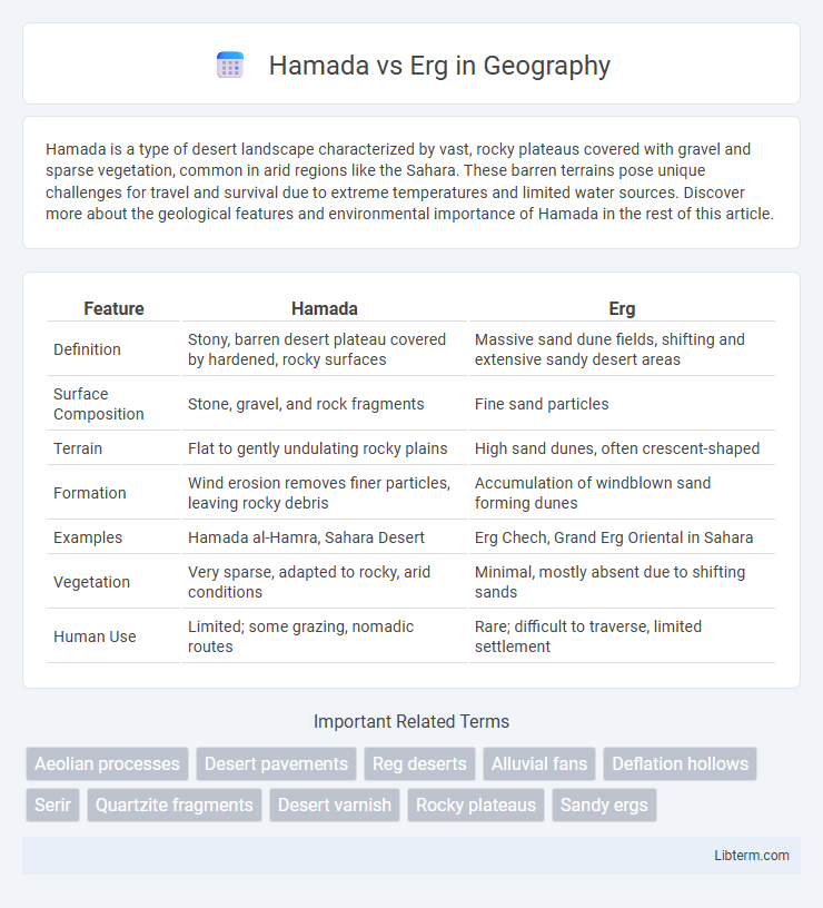 Erg vs Hamada in Geography - What is The Difference?