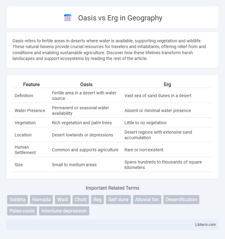 Erg vs Oasis in Geography - What is The Difference?