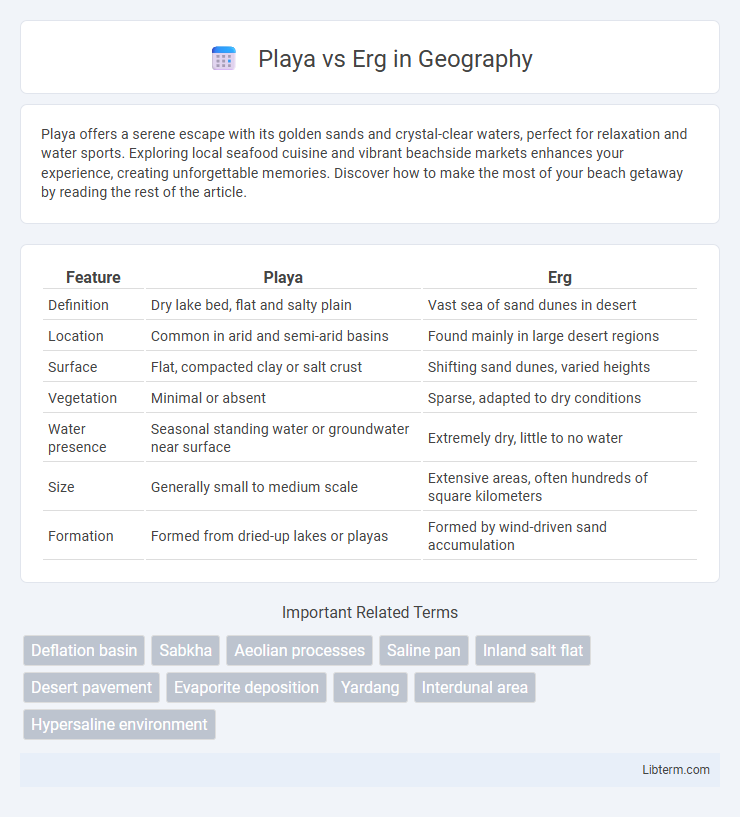 Erg vs Playa in Geography - What is The Difference?