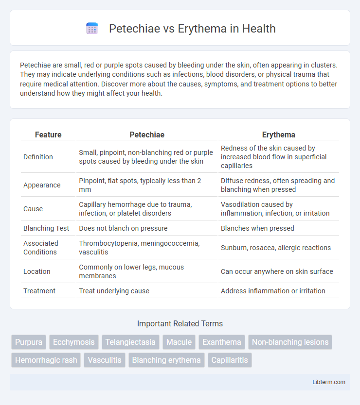 Erythema vs Petechiae in Health - What is The Difference?
