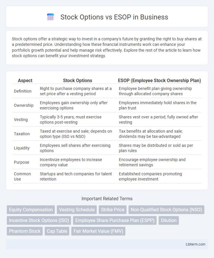 ESOP vs Stock Options in Business - What is The Difference?
