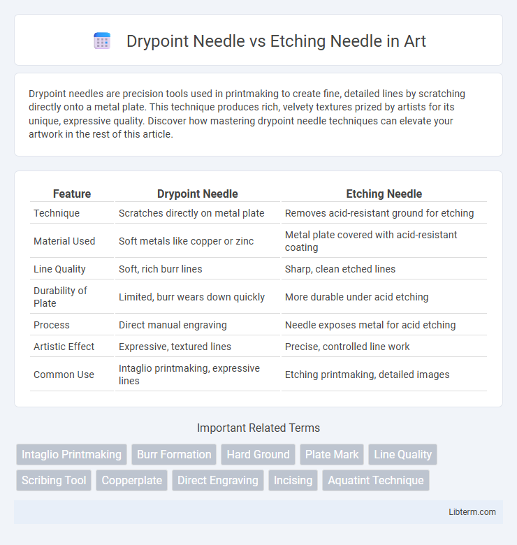 Etching Needle vs Drypoint Needle in Art - What is The Difference?