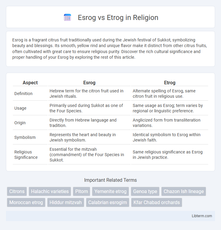 Etrog vs Esrog in Religion - What is The Difference?