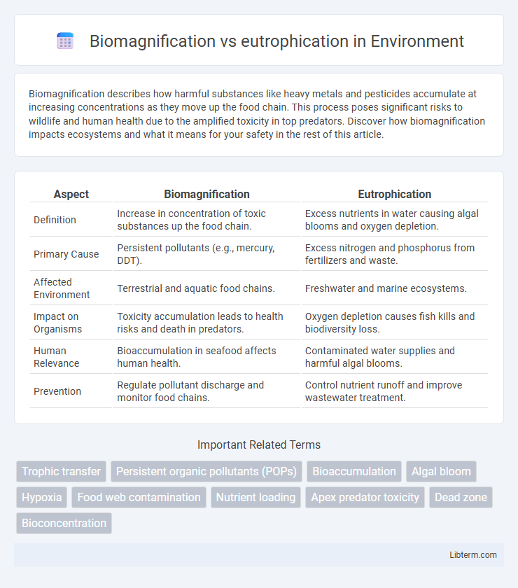 eutrophication vs Biomagnification in Environment - What is The Difference?