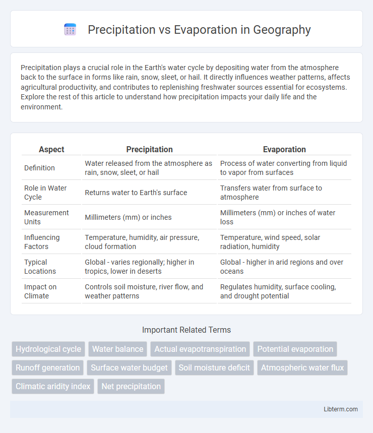 Evaporation vs Precipitation in Geography - What is The Difference?