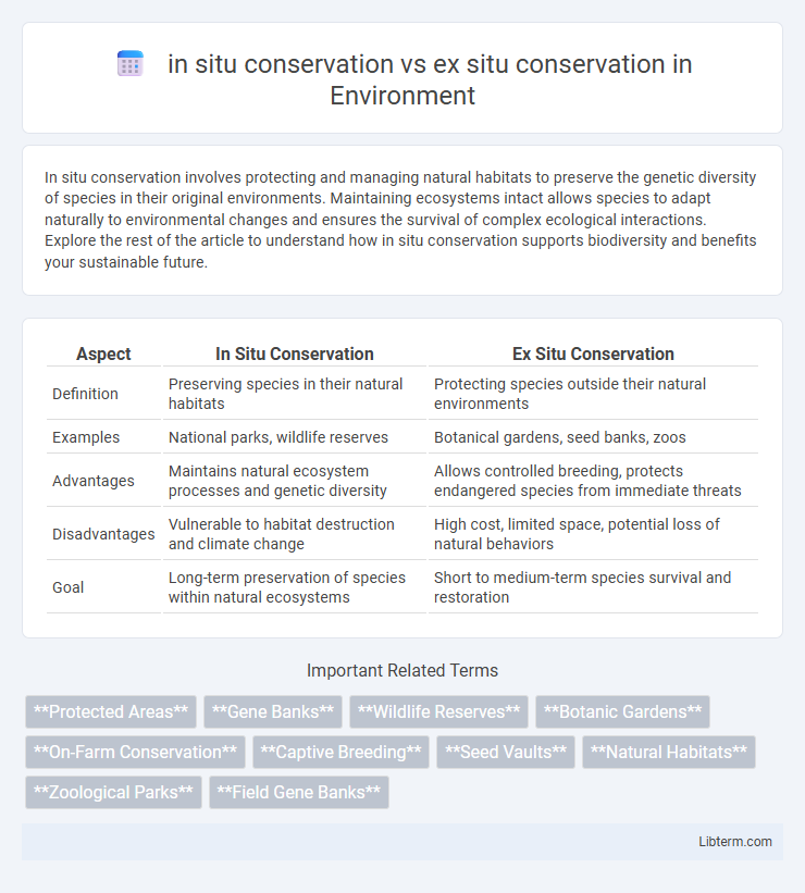 ex situ conservation vs in situ conservation in Environment - What is The Difference?