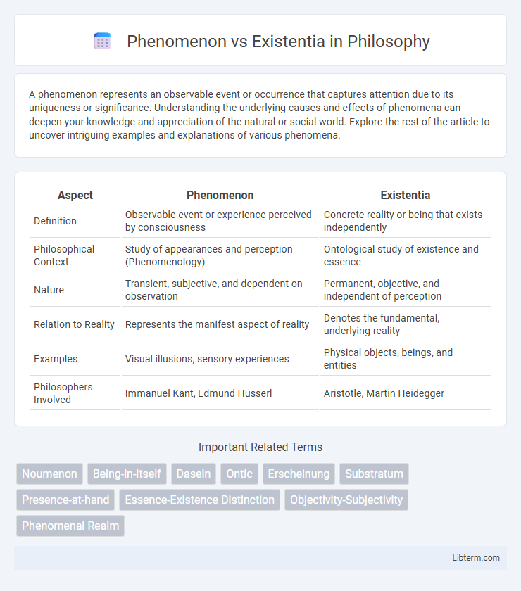 Existentia vs Phenomenon in Philosophy - What is The Difference?