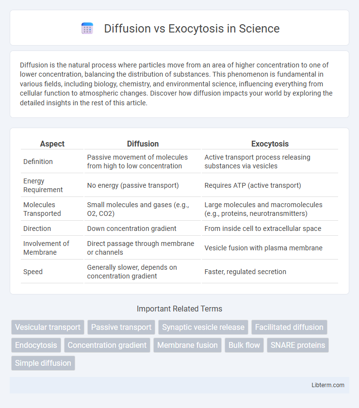 Exocytosis vs Diffusion in Science - What is The Difference?