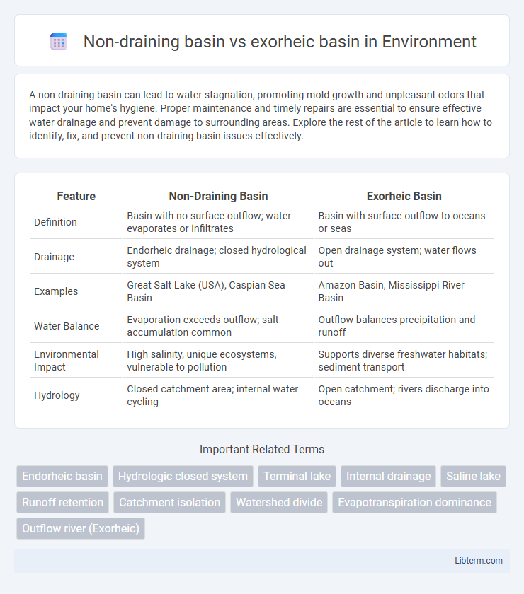 exorheic basin vs Non-draining basin in Environment - What is The Difference?