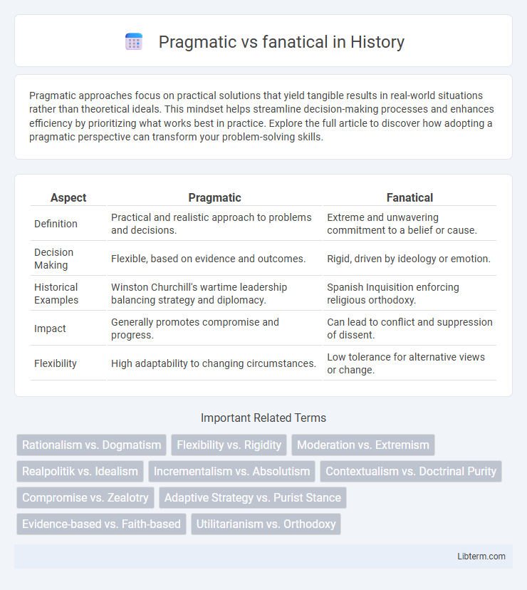fanatical vs Pragmatic in History - What is The Difference?