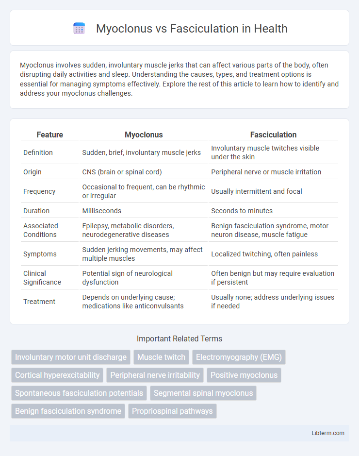 Fasciculation vs Myoclonus in Health - What is The Difference?
