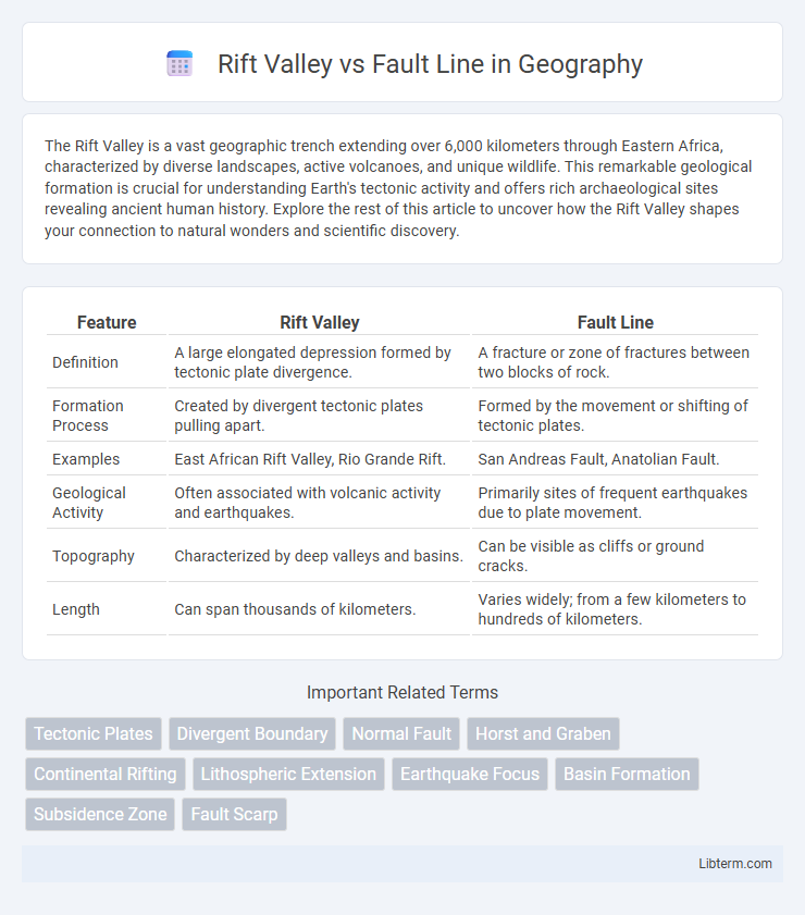 Fault Line vs Rift Valley in Geography - What is The Difference?