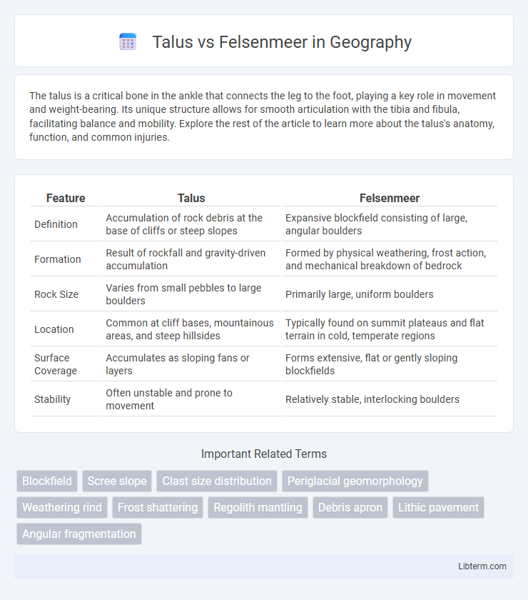 Felsenmeer vs Talus in Geography - What is The Difference?