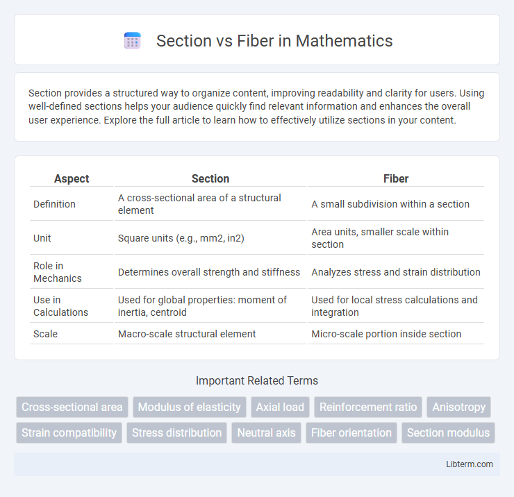 Fiber vs Section in Mathematics - What is The Difference?