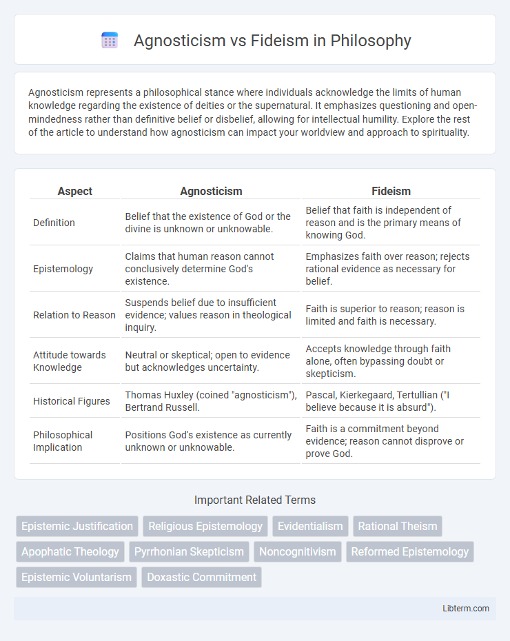 Fideism vs Agnosticism in Philosophy - What is The Difference?