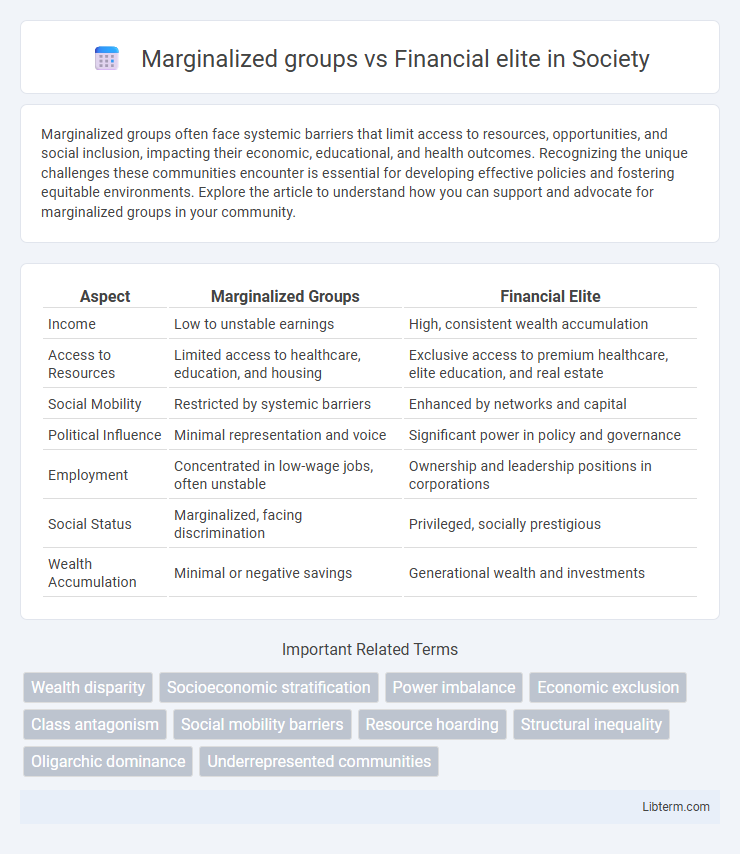 Financial elite vs Marginalized groups in Society - What is The Difference?