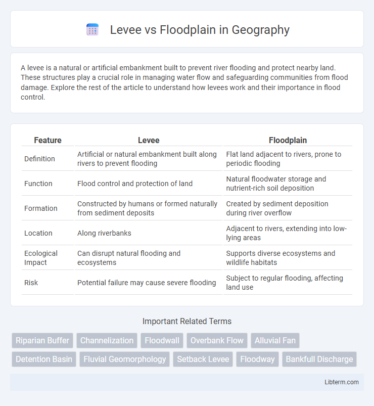 Floodplain vs Levee in Geography - What is The Difference?