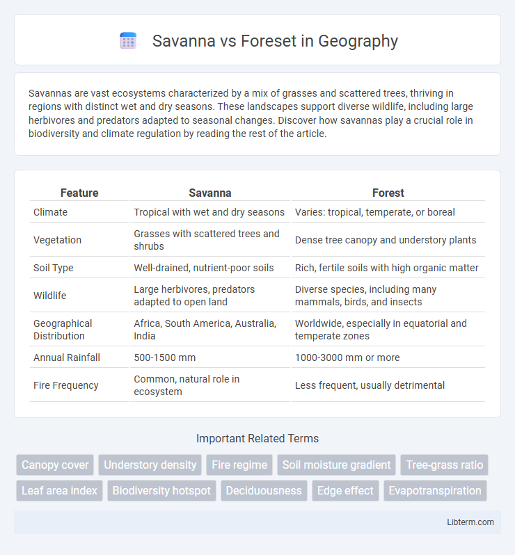 Foreset vs Savanna in Geography - What is The Difference?