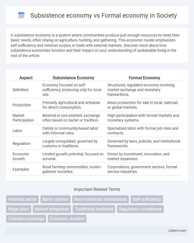 Formal economy vs Subsistence economy in Society - What is The Difference?