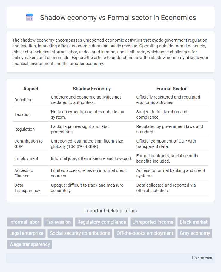 Formal sector vs Shadow economy in Economics - What is The Difference?
