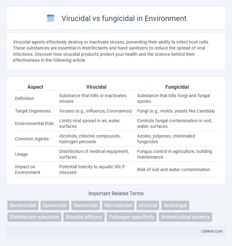 fungicidal vs Virucidal in Environment - What is The Difference?