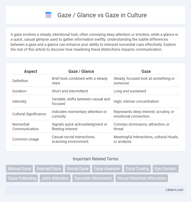 Gaze vs Gaze / Glance in Culture - What is The Difference?