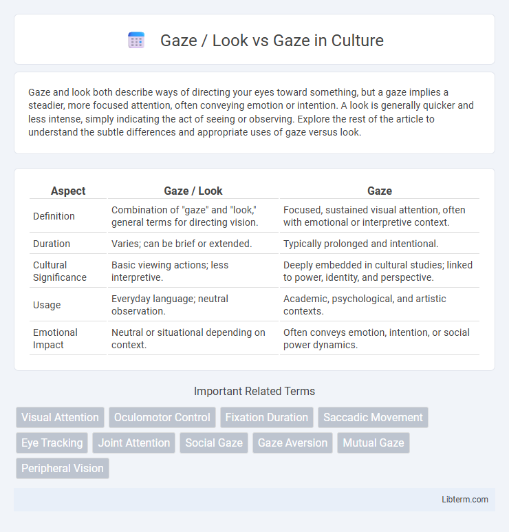 Gaze vs Gaze / Look in Culture - What is The Difference?