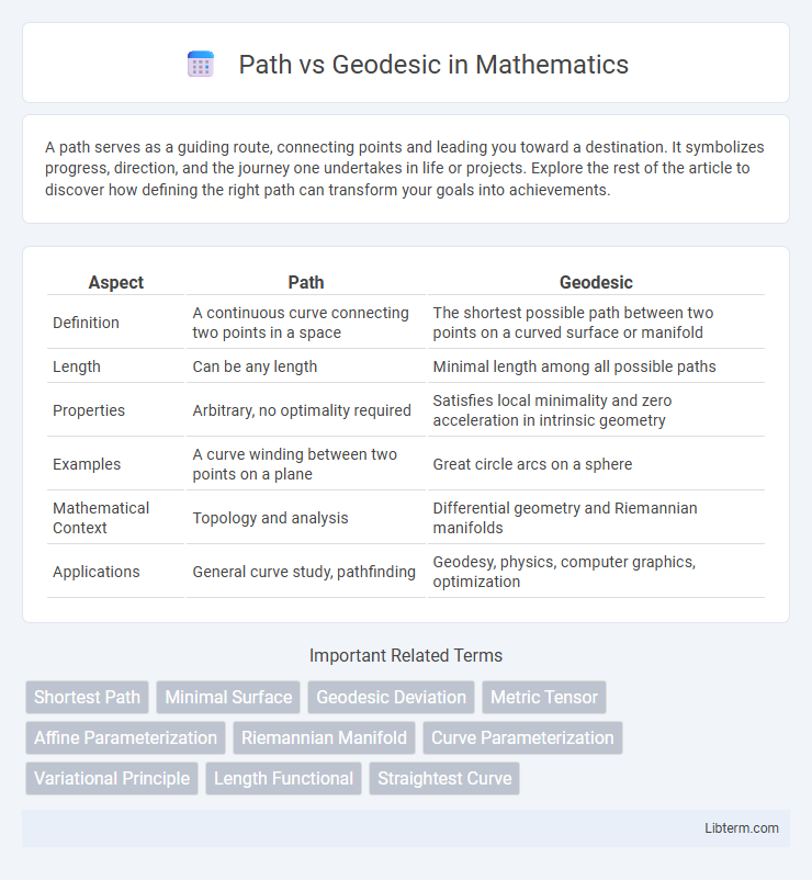 Geodesic vs Path in Mathematics - What is The Difference?