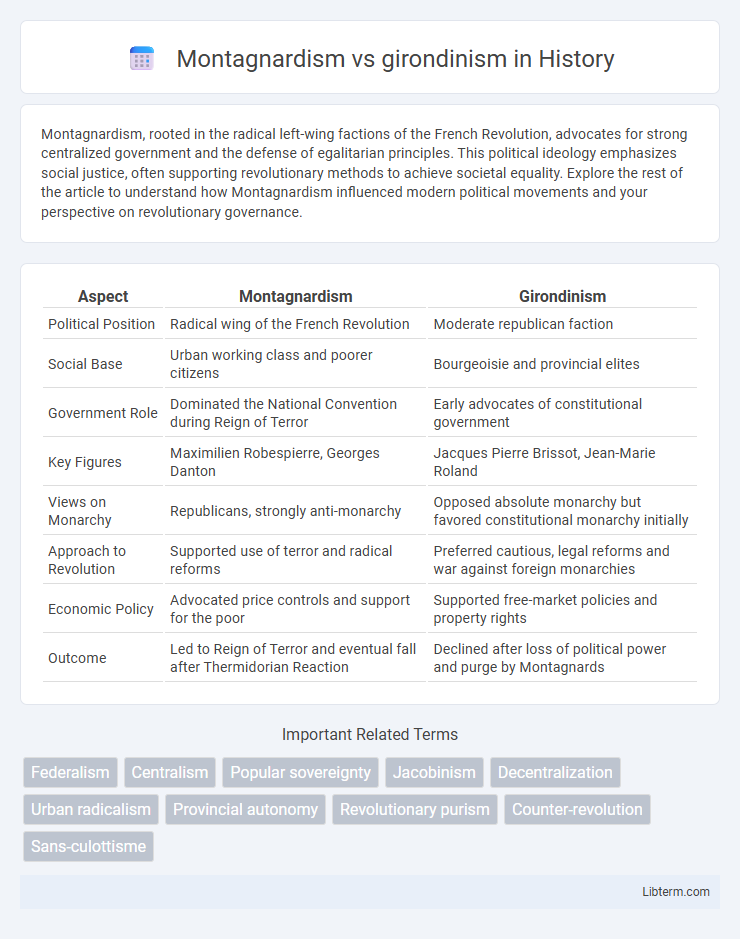 girondinism vs Montagnardism in History - What is The Difference?