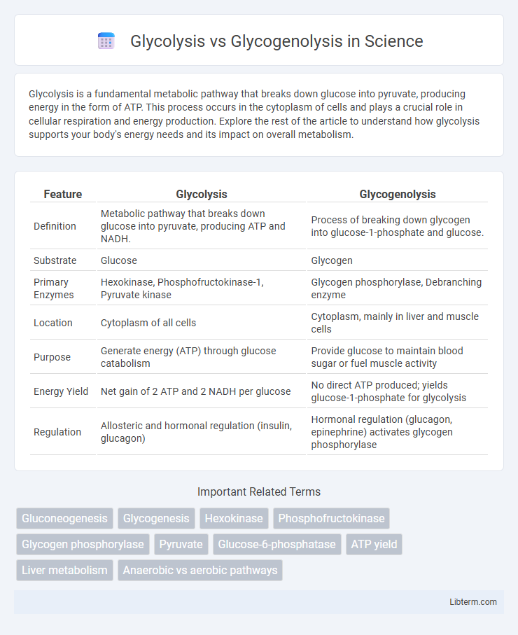 Glycogenolysis vs Glycolysis in Science - What is The Difference?