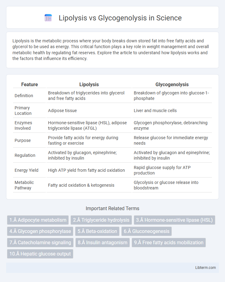 Glycogenolysis vs Lipolysis in Science - What is The Difference?