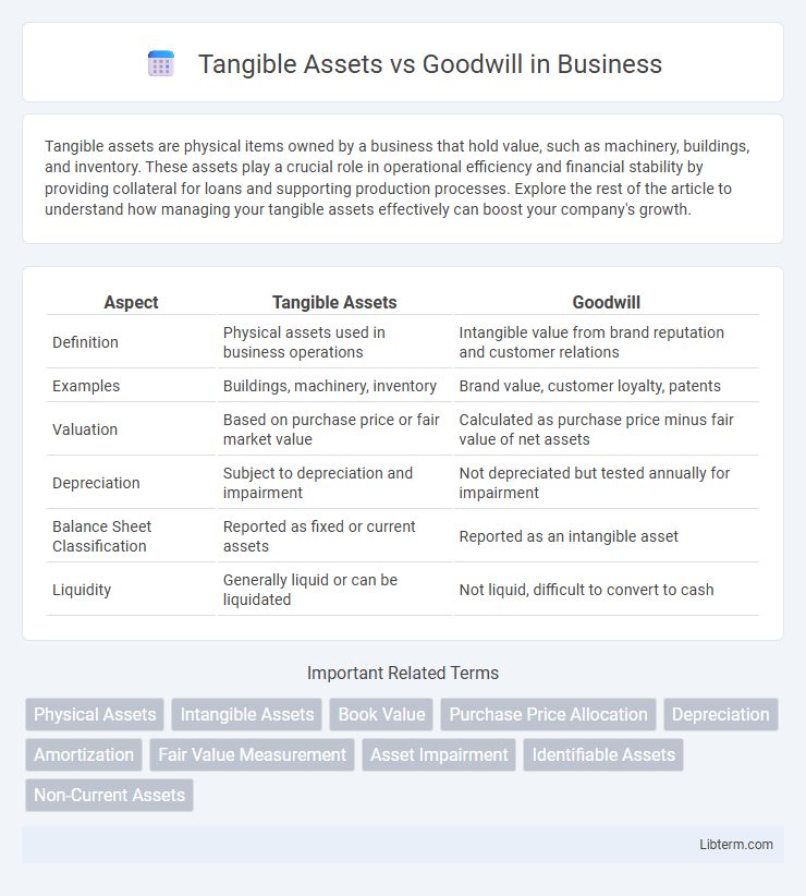 Goodwill vs Tangible Assets in Business - What is The Difference?
