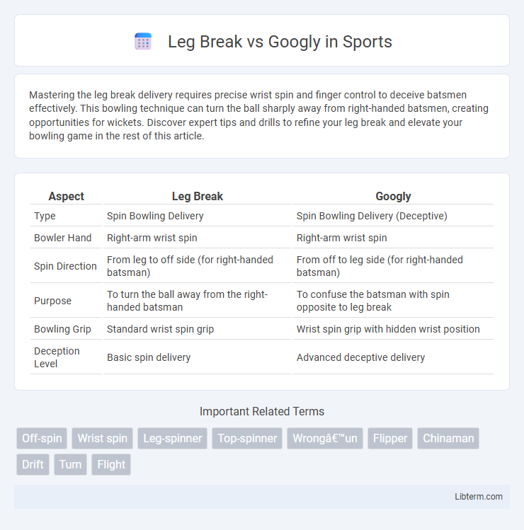 Googly vs Leg Break in Sports - What is The Difference?