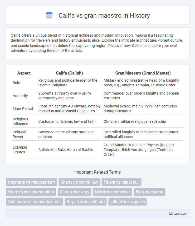 gran maestro vs Califa in History - What is The Difference?