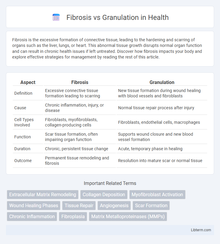 Granulation vs Fibrosis in Health - What is The Difference?