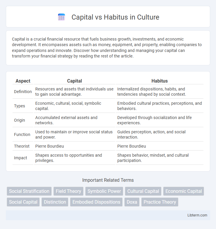 Habitus vs Capital in Culture - What is The Difference?