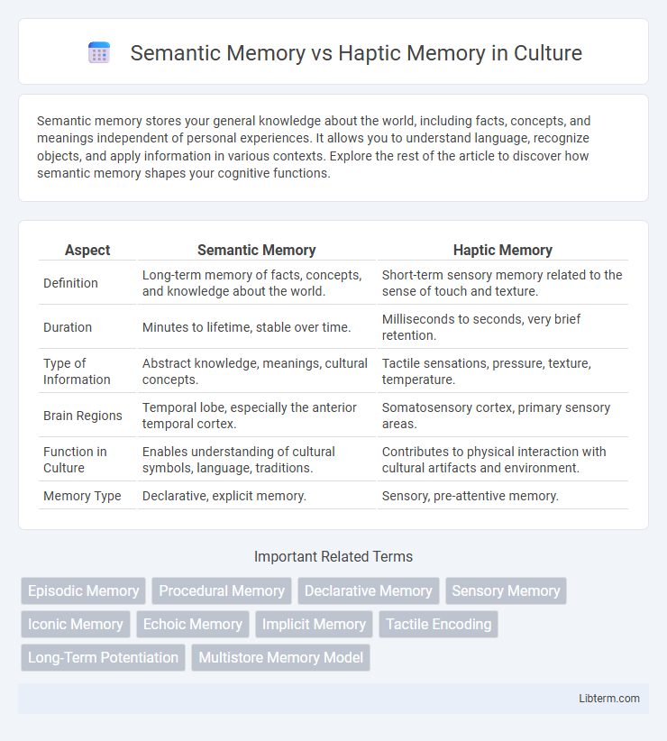 Haptic Memory vs Semantic Memory in Culture - What is The Difference?