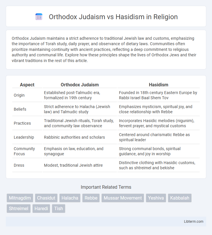 Hasidism vs Orthodox Judaism in Religion - What is The Difference?