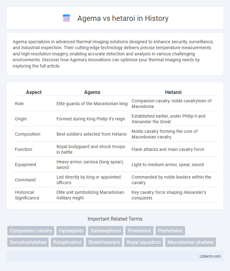 hetaroi vs Agema in History - What is The Difference?