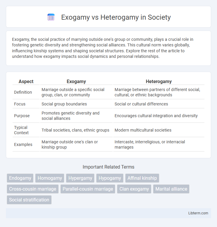 Heterogamy vs Exogamy in Society - What is The Difference?